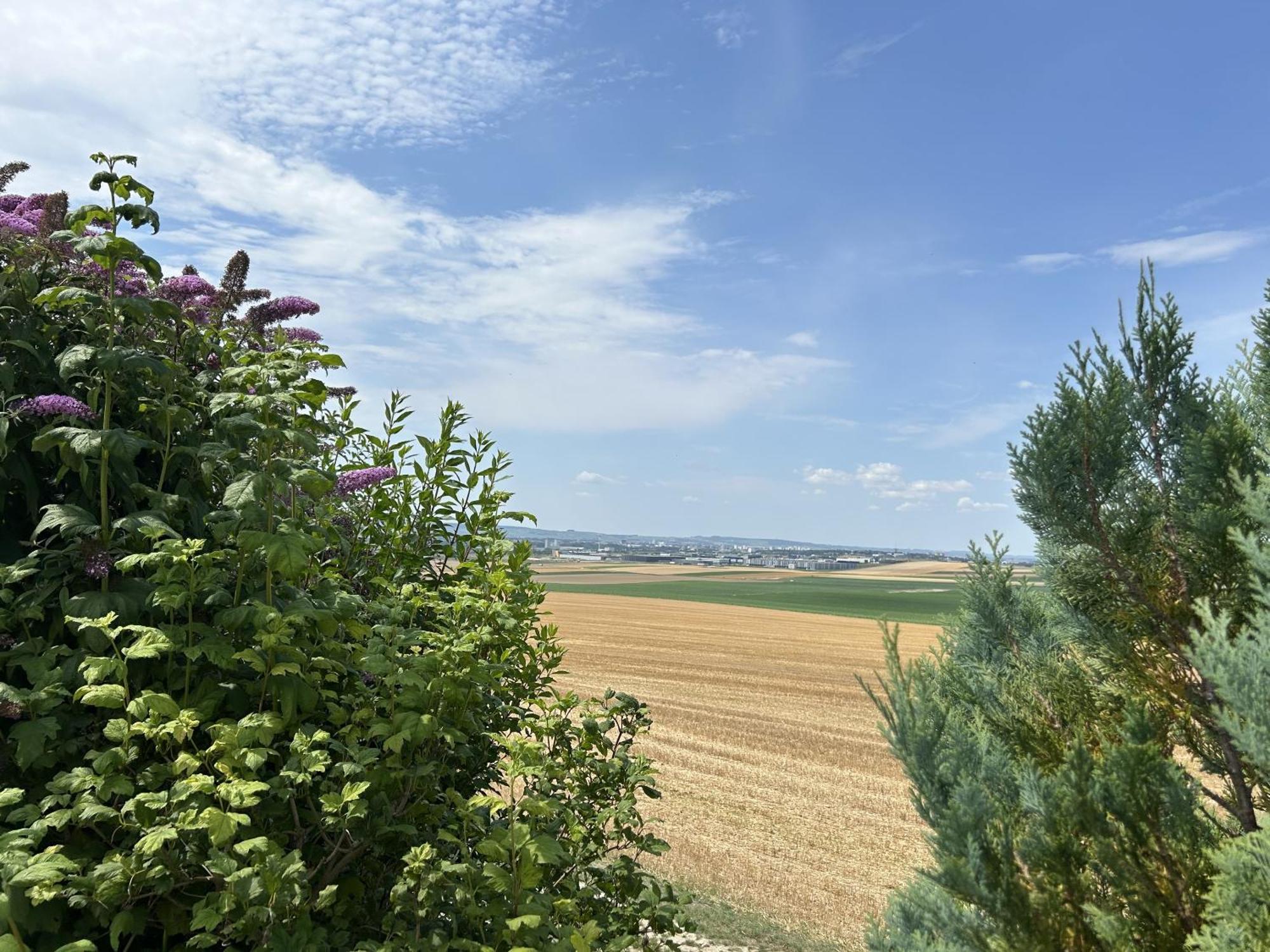 L'Intemporel Cernay-les-Reims Kültér fotó